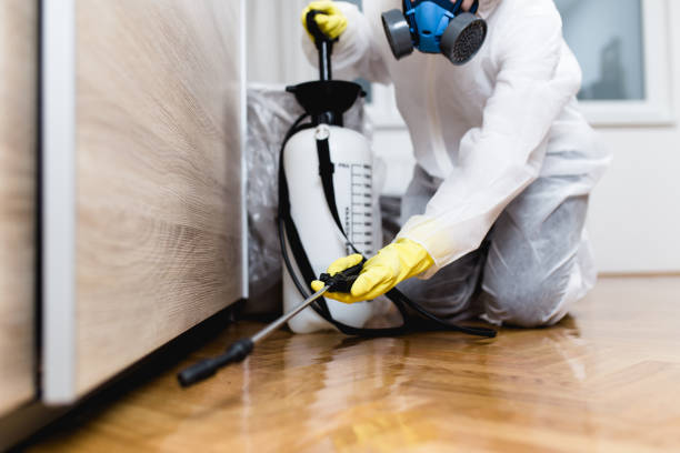 Best Best Pest Control Companies  in North Pembroke, MA