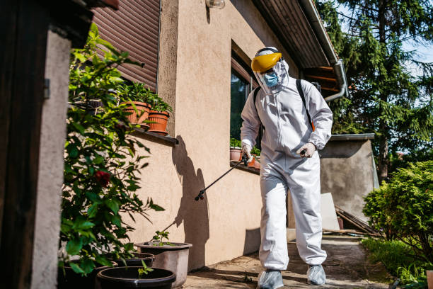 Best Flea Control Services  in North Pembroke, MA