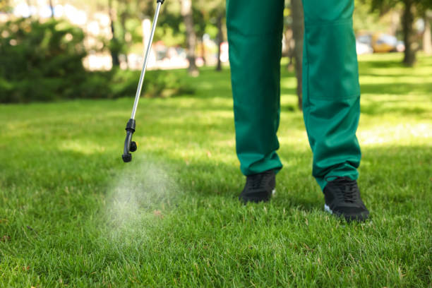 Best Flea Control Services  in North Pembroke, MA