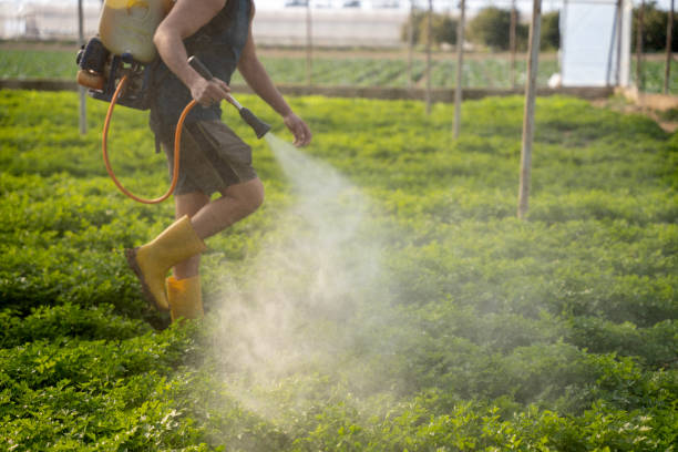Reliable North Pembroke, MA Pest Control Solutions