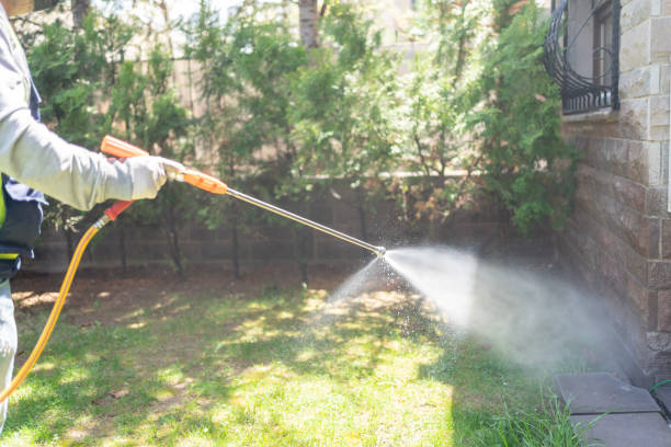 Best Mosquito Control Services  in North Pembroke, MA