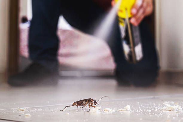 Best Residential Pest Control  in North Pembroke, MA