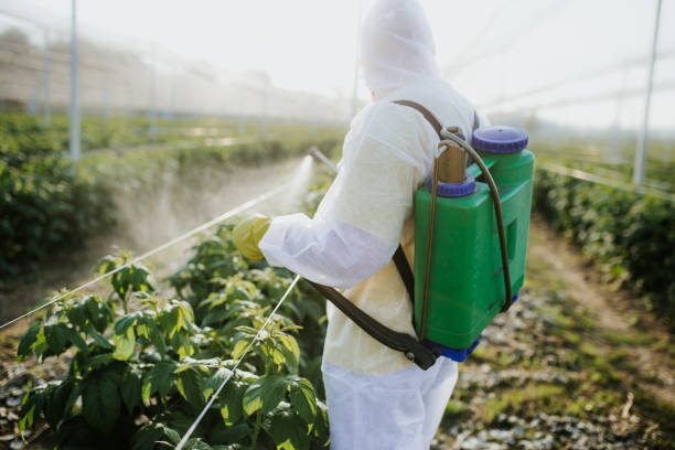 Best Pest Control for Businesses  in North Pembroke, MA